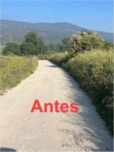 Melhoramento do Pavimento no Caminho da Mata em Frechas