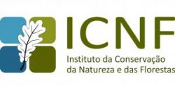 ICNF - Registo de queima segura de amontoados